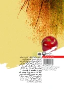 کتاب عناصر درونی شعر - تصویر 2