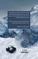 کتاب کاش این گلوله شلیک نمی‌شد - تصویر 2