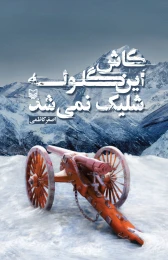 کتاب کاش این گلوله شلیک نمی‌شد - front