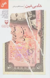 کتاب شاه بی شین - front