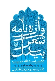 کتاب واژه‌نامه شعر بیدل - front