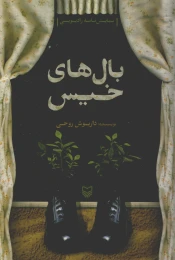 کتاب بال‌های خیس - front