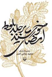 کتاب امضای خورشید بر جلد بلوط - front