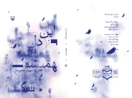 کتاب این دل همیشه تنگ - تصویر 2