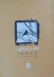 کتاب فاصله‌های غریب