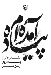 کتاب پیاده آمده‌ام - front