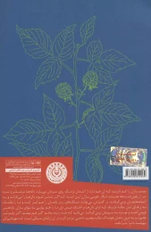 کتاب باران تمشک - back