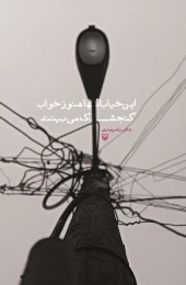 کتاب این خیابان‌ها هنوز خواب گنجشک می‌بینند - front