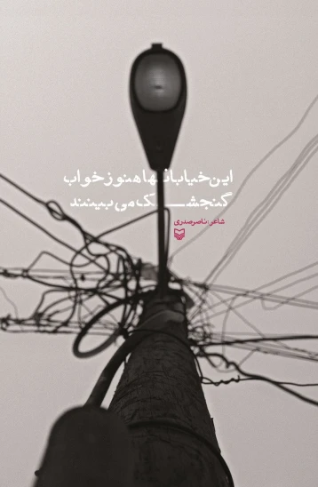 کتاب این خیابانها هنوز خواب گنجشک میبینند