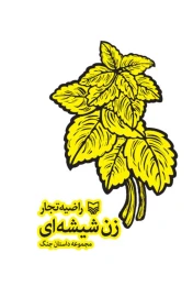 کتاب زن شیشه‌ای