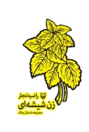 کتاب زن شیشه‌ای - تصویر 1