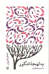 کتاب به لهجه انگور - front