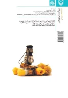 کتاب فانوسی بیفروز - تصویر 2