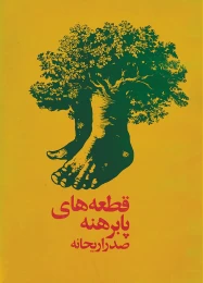 کتاب ق‍طع‍ه‌ه‍ای‌ پ‍اب‍ره‍ن‍ه‌