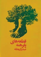 کتاب ق‍طع‍ه‌ه‍ای‌ پ‍اب‍ره‍ن‍ه‌ - تصویر 1