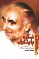 کتاب شکوه پایداری - تصویر 1