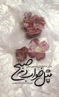 کتاب مثل خواب دم صبح - تصویر 1