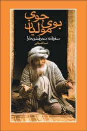 کتاب بوی جوی مولیان