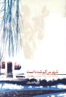 کتاب شهر من گم شده است - تصویر 1
