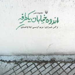 کتاب اندوه خیابان یکطرفه - front