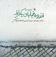 کتاب اندوه خیابان یکطرفه - تصویر 1