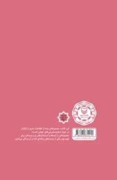 کتاب سلبریتی‌های اینترنتی - back