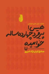 کتاب هیس پیرمرد چهارده ساله خوابیده - front